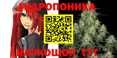 стафф Партизанск
